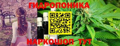 2c-b Гусь-Хрустальный