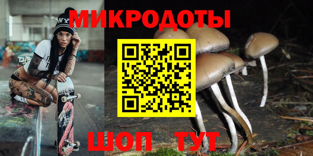 Псилоцибиновые грибы MAGIC MUSHROOMS  Вход с VPN  Кольчугино 