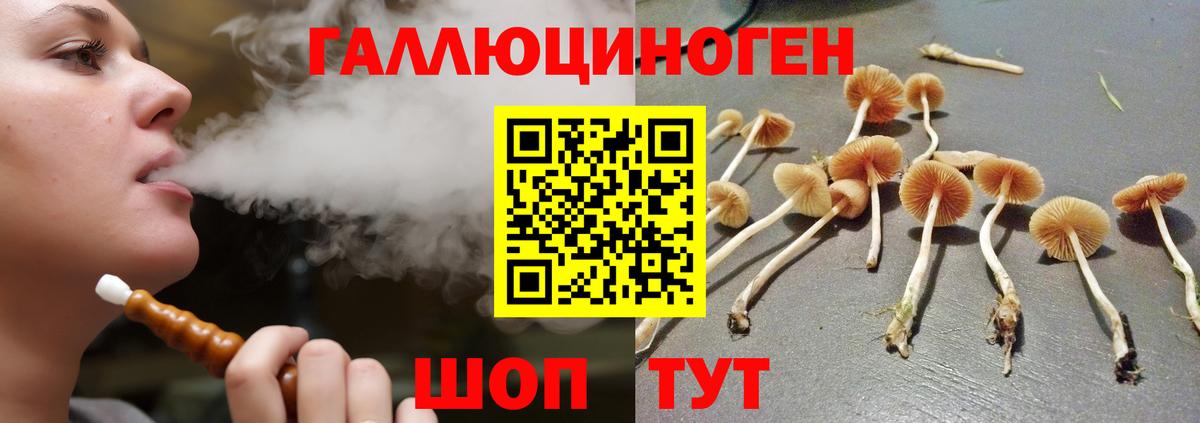 Псилоцибиновые грибы Magic Shrooms Кольчугино